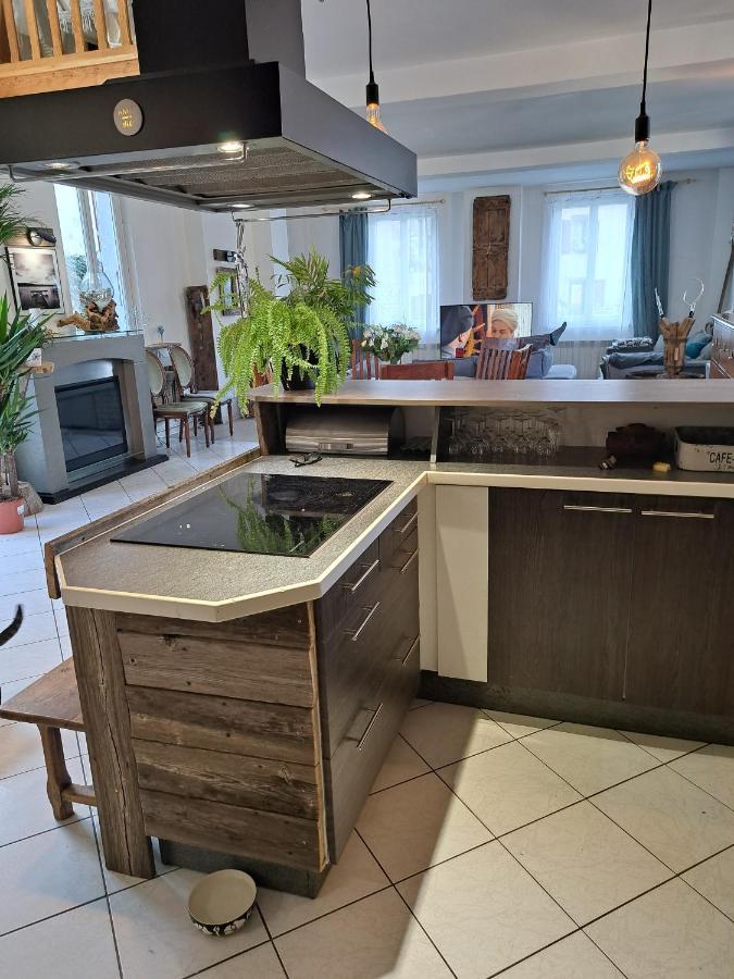 Gite Redrooster Home - 160M2, 4 Ch, 2 Sdb, Fibre, Parking, Sauna, Bain A Remous Theys Εξωτερικό φωτογραφία